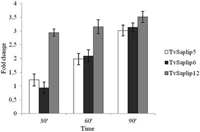 Production and Functional Characterization of a Recombinant Predicted Pore-Forming Protein (TVSAPLIP12) of Trichomonas vaginalis in Nicotiana benthamiana Plants